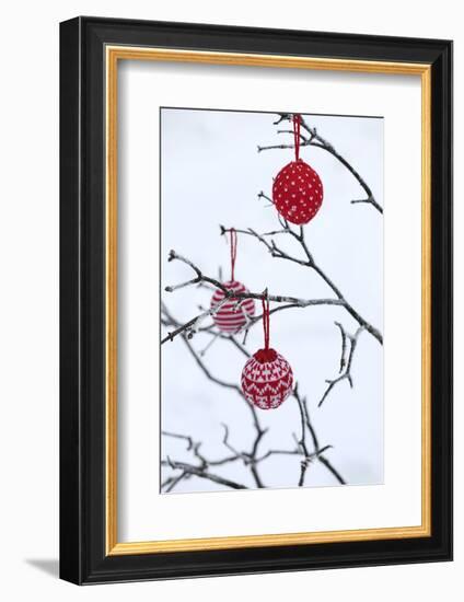 Branch in Winter with Christmas Bulbs, Cord Sample-Andrea Haase-Framed Photographic Print