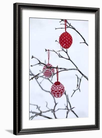 Branch in Winter with Christmas Bulbs, Cord Sample-Andrea Haase-Framed Photographic Print