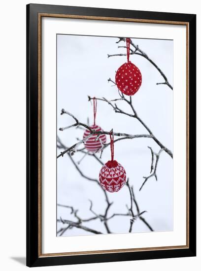 Branch in Winter with Christmas Bulbs, Cord Sample-Andrea Haase-Framed Photographic Print