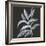 Branch IV-Chris Paschke-Framed Art Print