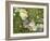 Branch, Lichens, Close-Up-Thonig-Framed Photographic Print