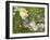 Branch, Lichens, Close-Up-Thonig-Framed Photographic Print