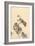 Branch of Begonia in Bloom, (ink on paper)-European School-Framed Giclee Print