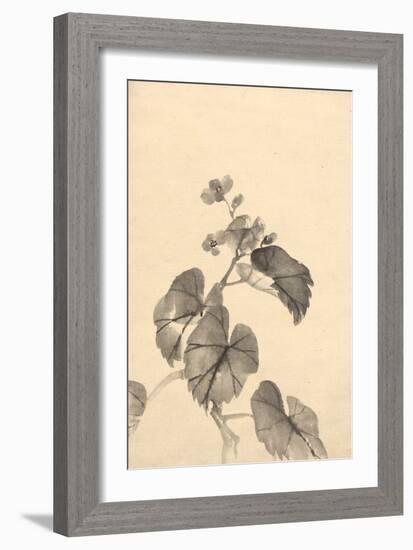 Branch of Begonia in Bloom, (ink on paper)-European School-Framed Giclee Print