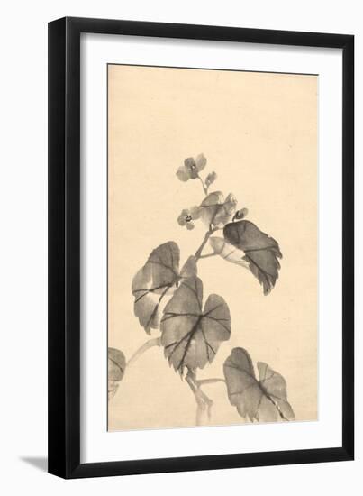 Branch of Begonia in Bloom, (ink on paper)-European School-Framed Giclee Print