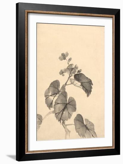 Branch of Begonia in Bloom, (ink on paper)-European School-Framed Giclee Print