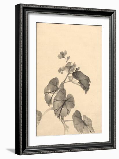 Branch of Begonia in Bloom, (ink on paper)-European School-Framed Giclee Print