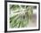 Branch of Olive Tree and Olives, Prieure De St-Jean De Bebian, Coteaux Du Languedoc-Per Karlsson-Framed Photographic Print