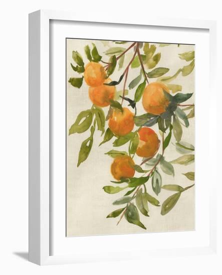 Branch of Oranges I-Jacob Q-Framed Art Print