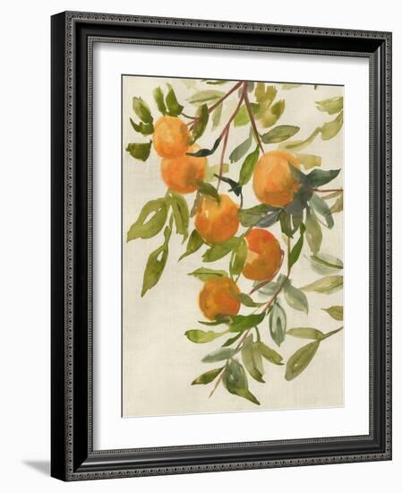 Branch of Oranges I-Jacob Q-Framed Art Print