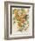 Branch of Oranges I-Jacob Q-Framed Premium Giclee Print