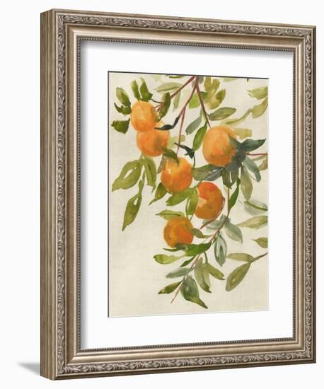 Branch of Oranges I-Jacob Q-Framed Premium Giclee Print