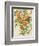 Branch of Oranges I-Jacob Q-Framed Premium Giclee Print