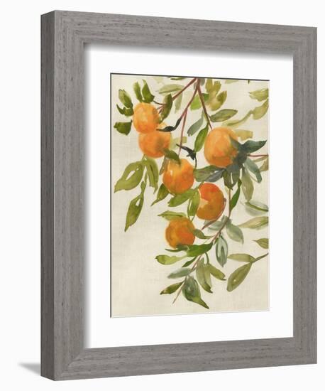 Branch of Oranges I-Jacob Q-Framed Premium Giclee Print