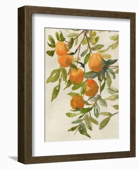 Branch of Oranges I-Jacob Q-Framed Premium Giclee Print