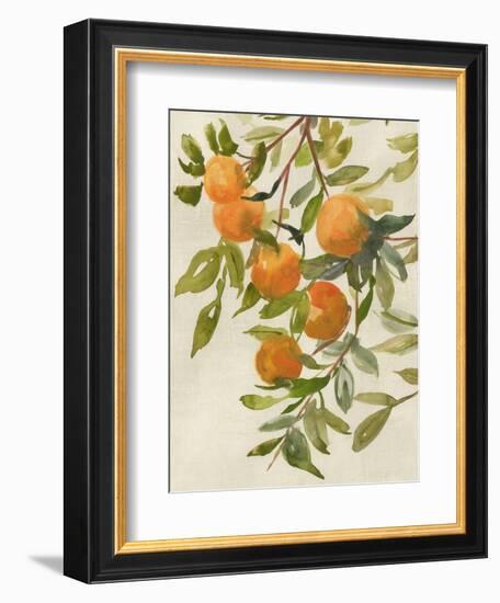 Branch of Oranges I-Jacob Q-Framed Premium Giclee Print