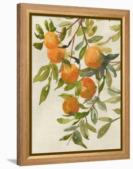 Branch of Oranges I-Jacob Q-Framed Stretched Canvas