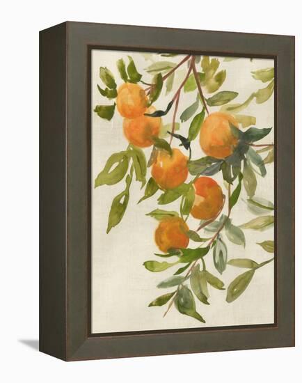 Branch of Oranges I-Jacob Q-Framed Stretched Canvas