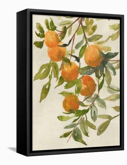 Branch of Oranges I-Jacob Q-Framed Stretched Canvas