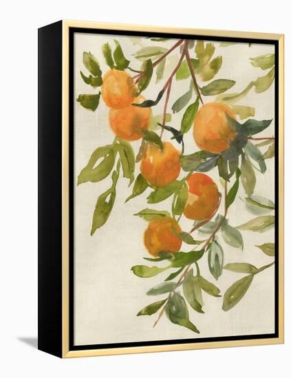 Branch of Oranges I-Jacob Q-Framed Stretched Canvas