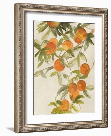 Branch of Oranges II-Jacob Q-Framed Art Print