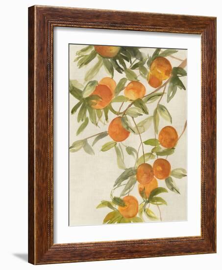 Branch of Oranges II-Jacob Q-Framed Art Print