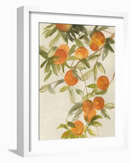 Branch of Oranges II-Jacob Q-Framed Art Print