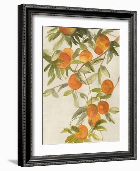 Branch of Oranges II-Jacob Q-Framed Art Print