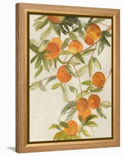 Branch of Oranges II-Jacob Q-Framed Stretched Canvas