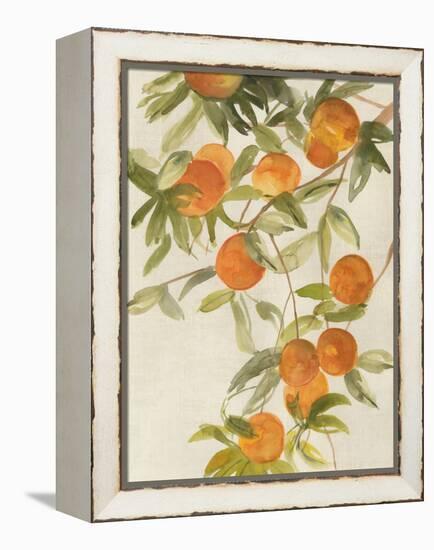 Branch of Oranges II-Jacob Q-Framed Stretched Canvas