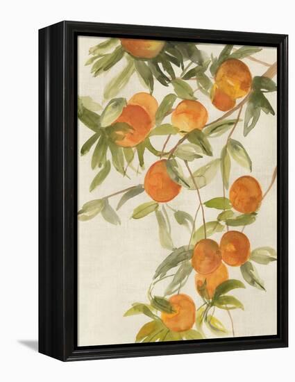 Branch of Oranges II-Jacob Q-Framed Stretched Canvas
