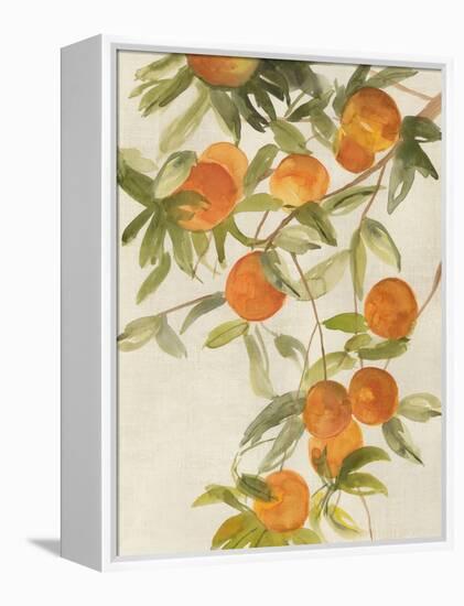 Branch of Oranges II-Jacob Q-Framed Stretched Canvas