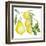 Branch of Ripe Sour Lemons-vilax-Framed Art Print