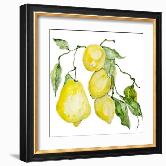 Branch of Ripe Sour Lemons-vilax-Framed Art Print