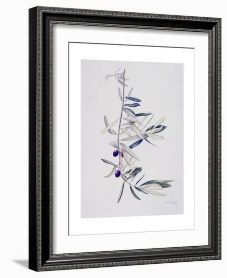 Branch of Ripening Black Olives II, 1999-Rebecca John-Framed Giclee Print