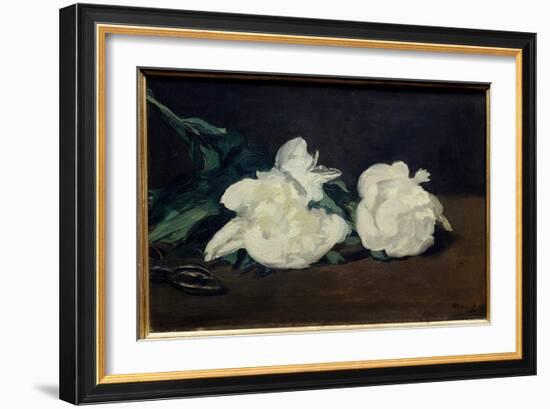 Branch of White Peonies and Secateur Painting by Edouard Manet (1832-1883) 1864 Dim. 0,31X0,46 M. P-Edouard Manet-Framed Giclee Print