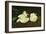 Branch of White Peonies and Secateurs, 1864-Edouard Manet-Framed Giclee Print