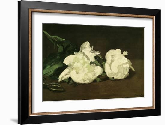 Branch of White Peonies and Secateurs, 1864-Edouard Manet-Framed Giclee Print