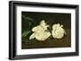 Branch of White Peonies and Secateurs, 1864-Edouard Manet-Framed Giclee Print