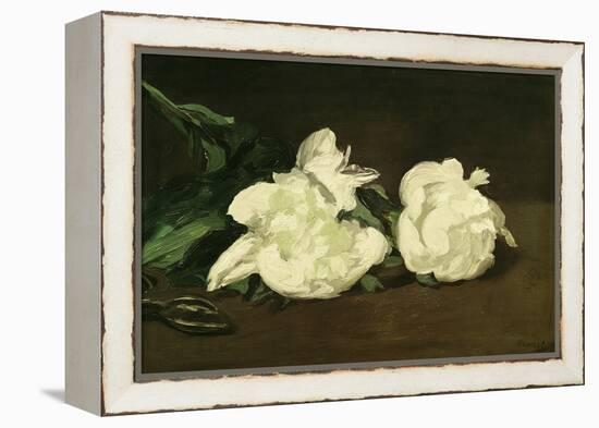 Branch of White Peonies and Secateurs, 1864-Edouard Manet-Framed Premier Image Canvas