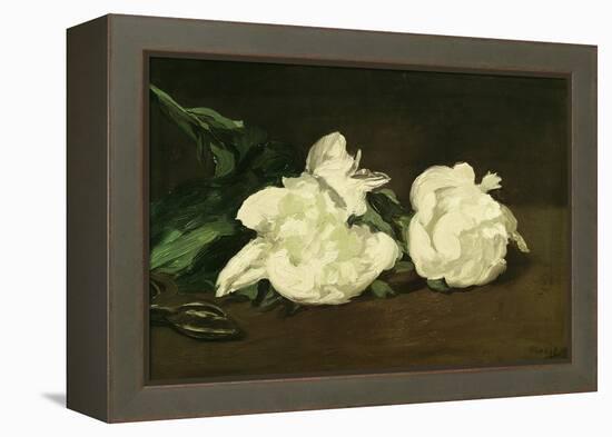 Branch of White Peonies and Secateurs, 1864-Edouard Manet-Framed Premier Image Canvas