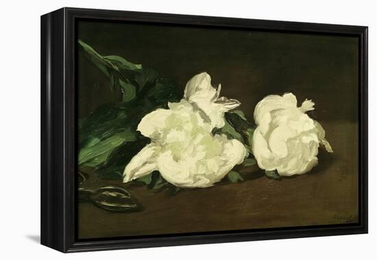 Branch of White Peonies and Secateurs, 1864-Edouard Manet-Framed Premier Image Canvas