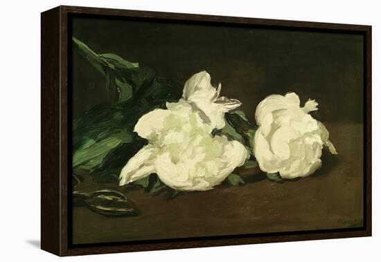 Branch of White Peonies and Secateurs, 1864-Edouard Manet-Framed Premier Image Canvas