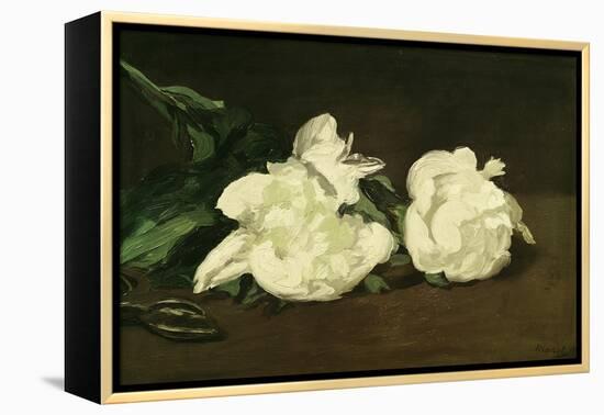 Branch of White Peonies and Secateurs, 1864-Edouard Manet-Framed Premier Image Canvas