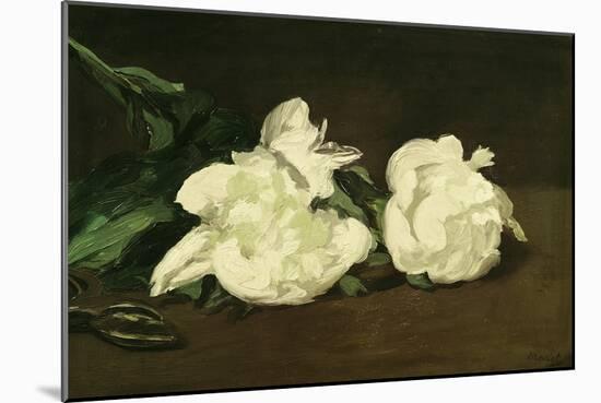Branch of White Peonies and Secateurs, 1864-Edouard Manet-Mounted Premium Giclee Print
