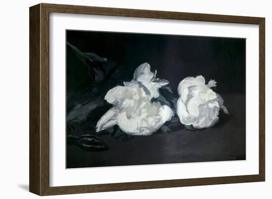 Branch of White Peonies and Secateurs-Edouard Manet-Framed Art Print