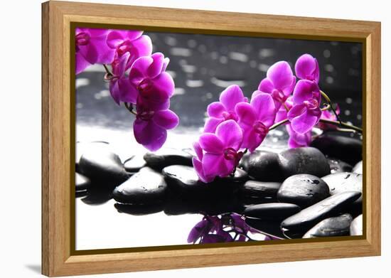 Branch Purple Orchid Flower With Therapy Stones-crystalfoto-Framed Premier Image Canvas