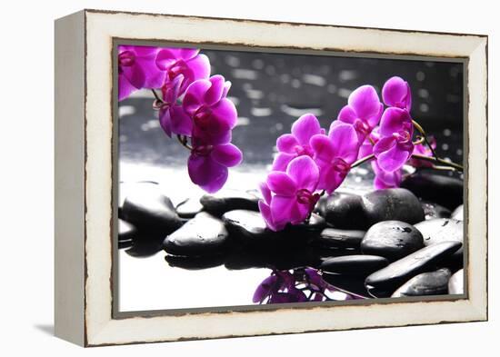 Branch Purple Orchid Flower With Therapy Stones-crystalfoto-Framed Premier Image Canvas