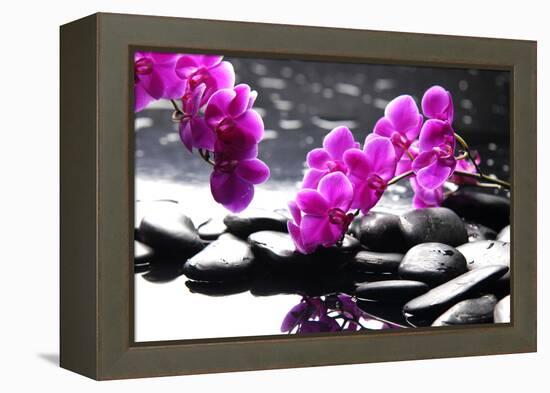 Branch Purple Orchid Flower With Therapy Stones-crystalfoto-Framed Premier Image Canvas