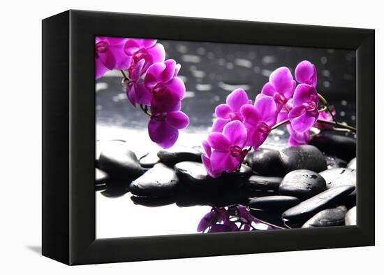 Branch Purple Orchid Flower With Therapy Stones-crystalfoto-Framed Premier Image Canvas